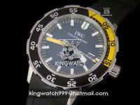 IWC 2010 AQUATIMER SS ASI